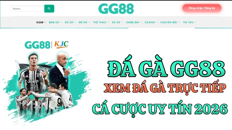 Đá Gà GG88 – Xem Đá Gà Trực Tiếp Cá Cược Uy Tín 2026